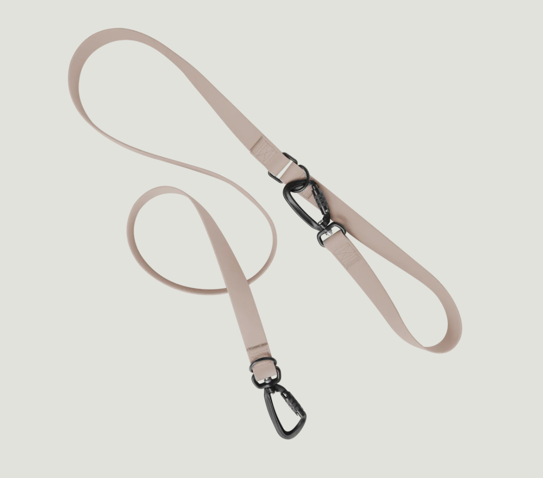 Leash Logic: Find the Perfect Fit!