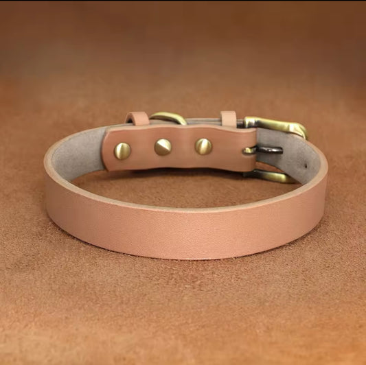 Urban Chic Collar Goldenrod